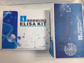 脫氧膽酸鈉溶液 E2高純度 (國產/進口)-產品展示-上海信帆生物科技