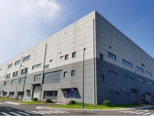 長(zhǎng)生不老丹 風(fēng)頭正勁, 新老年人 開始過上 潮生活